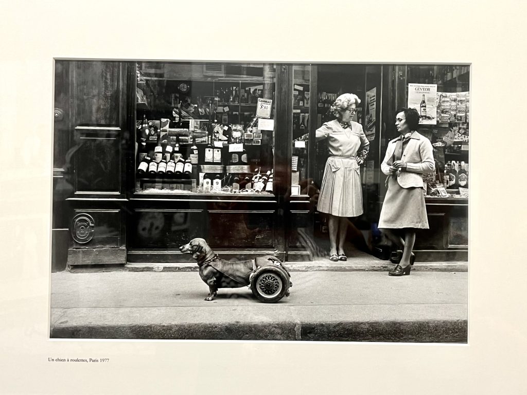 exposition Robert Doisneau