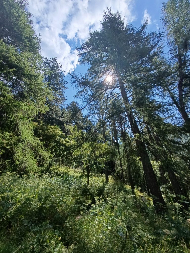 Les gorges de St Pierre