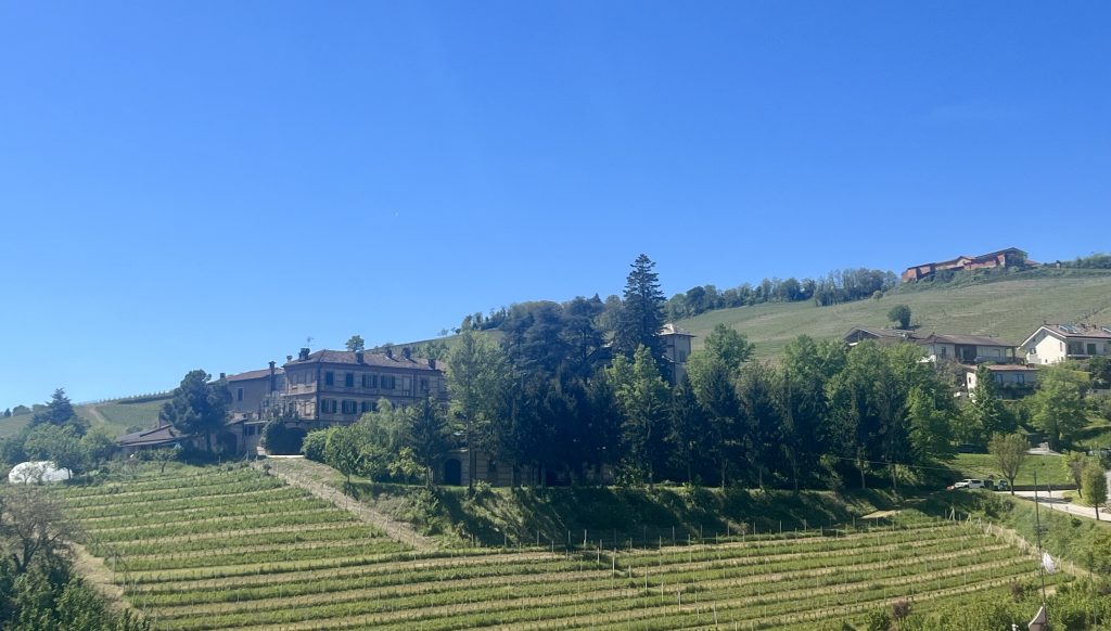 BAROLO