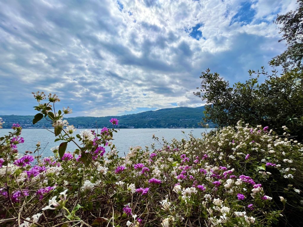 STRESA
