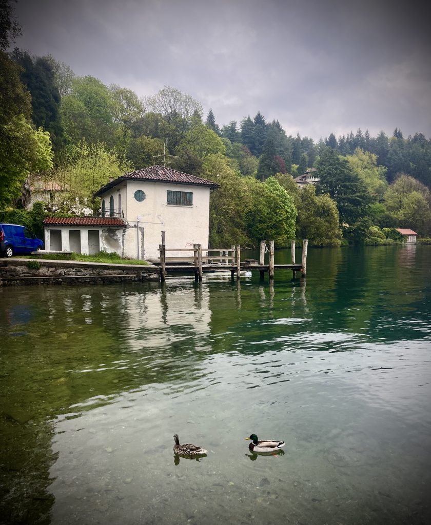 ORTA