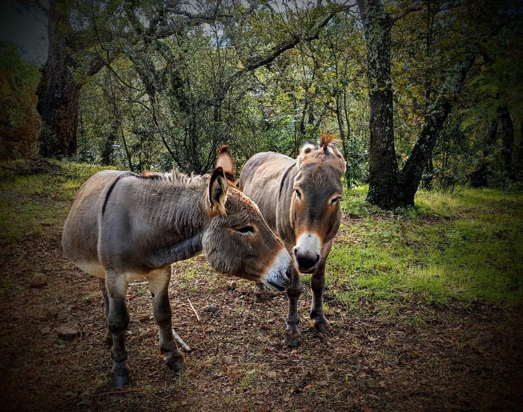 Trois Croix à Roquebrune-sur-Argens