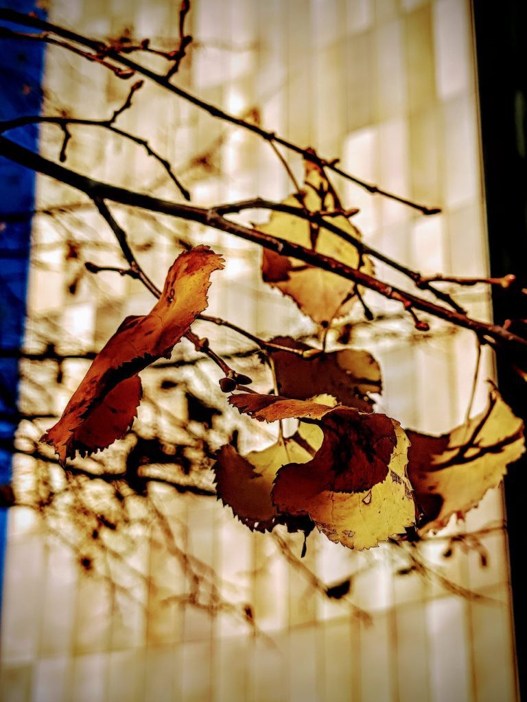 Week-end Berlin