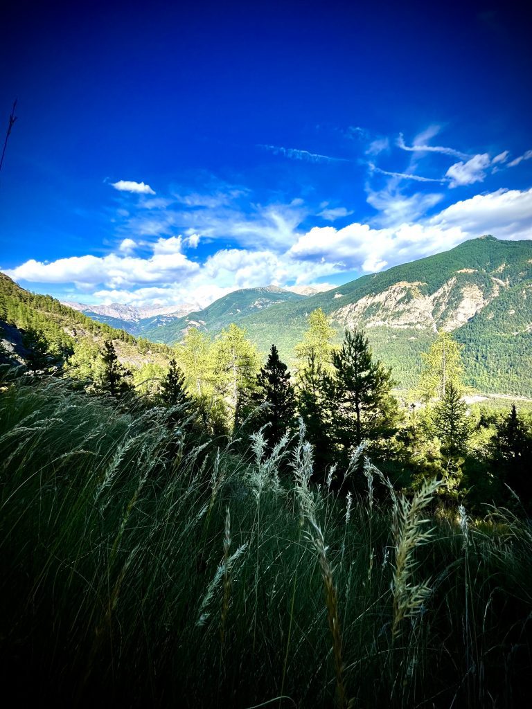 WE Colmars-les-Alpes
