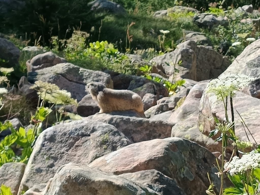 Lac d'Allos
