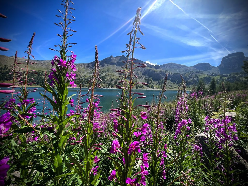 Lac d'Allos