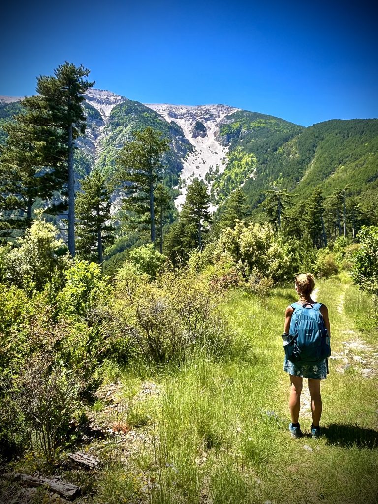 Ventoux