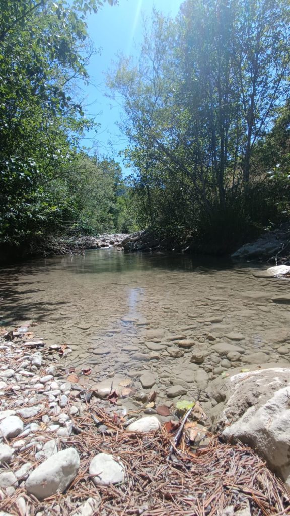 Les gorges de Trévans