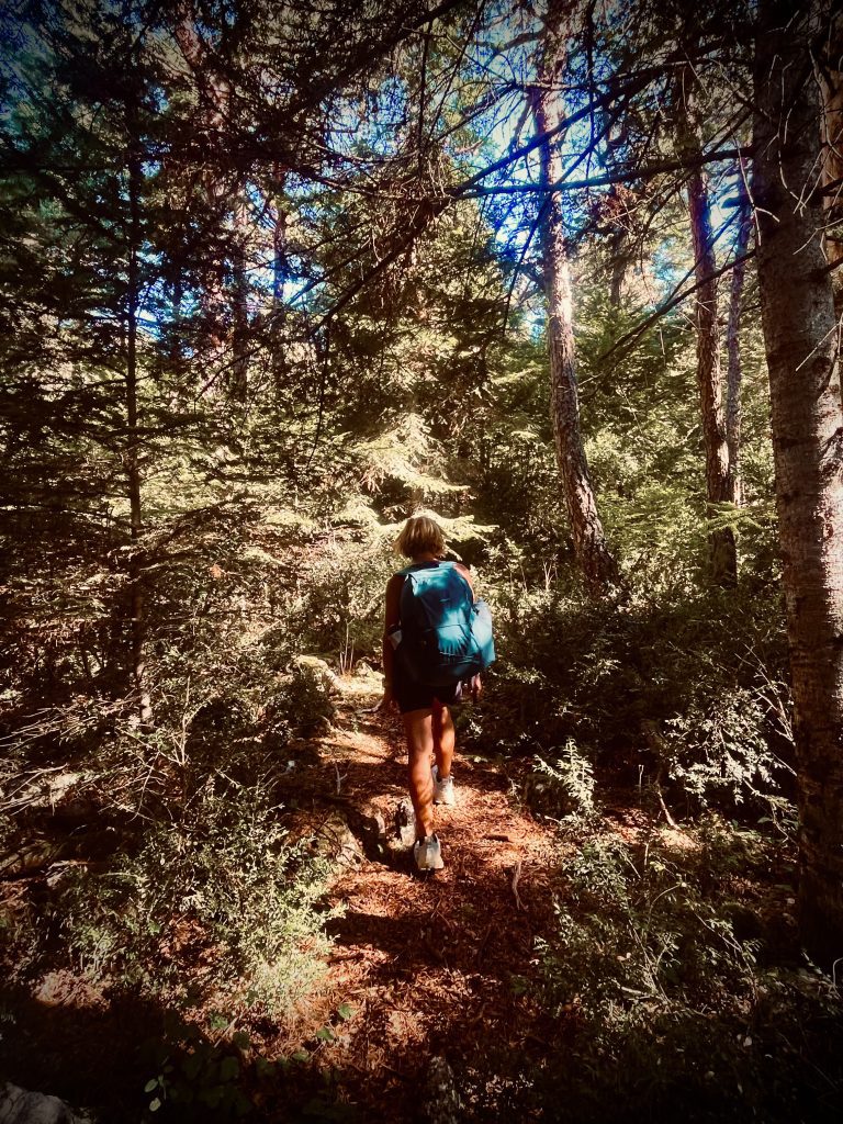 Mont Lachens