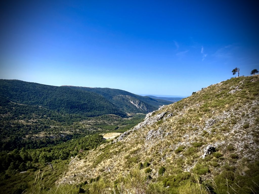 Mont Lachens