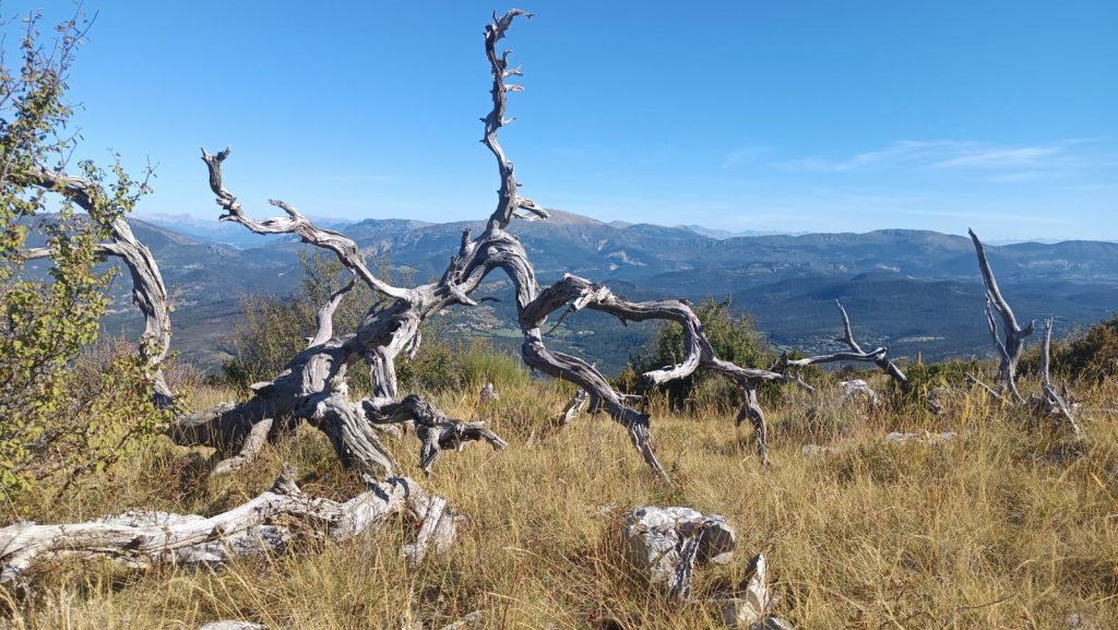 Mont Lachens
