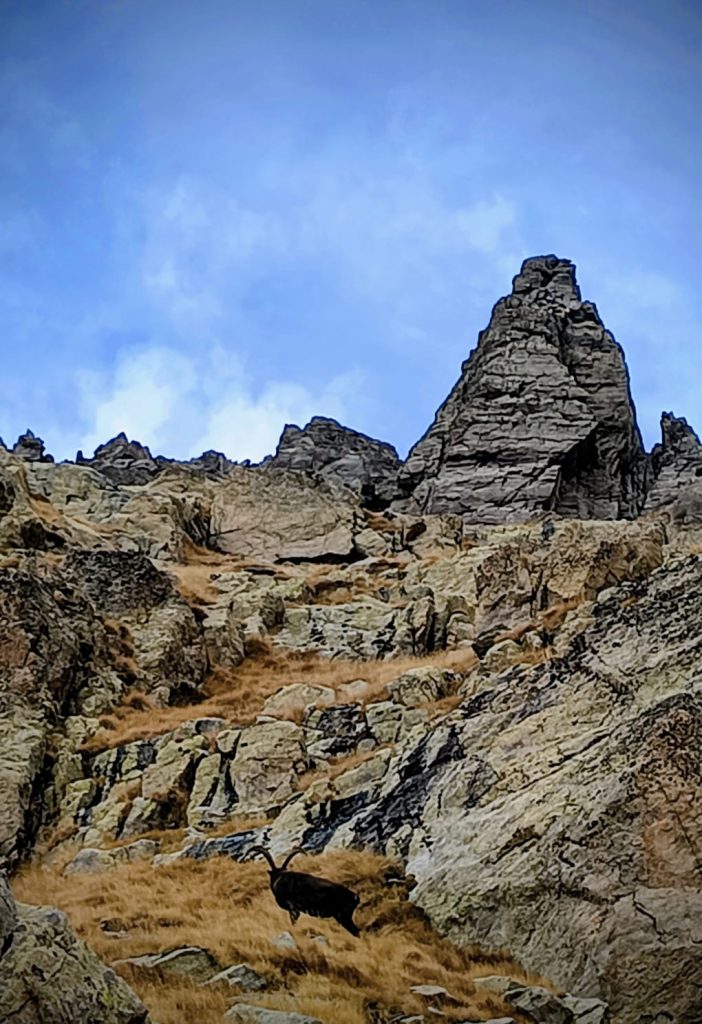 Vallée des Merveilles – Randonnée automnale