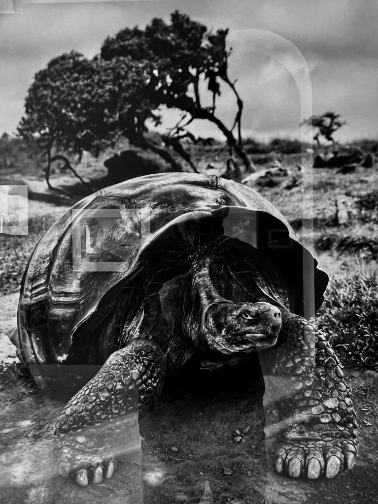Exposition Sebastião Salgado à la Villa Tamaris