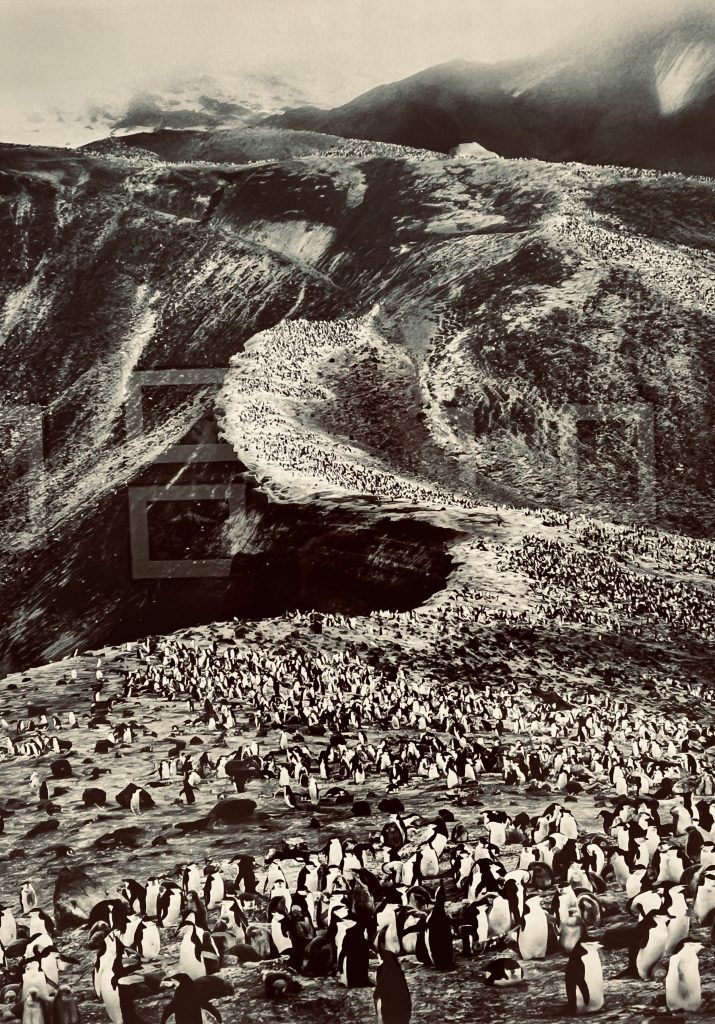 Exposition Sebastião Salgado à la Villa Tamaris