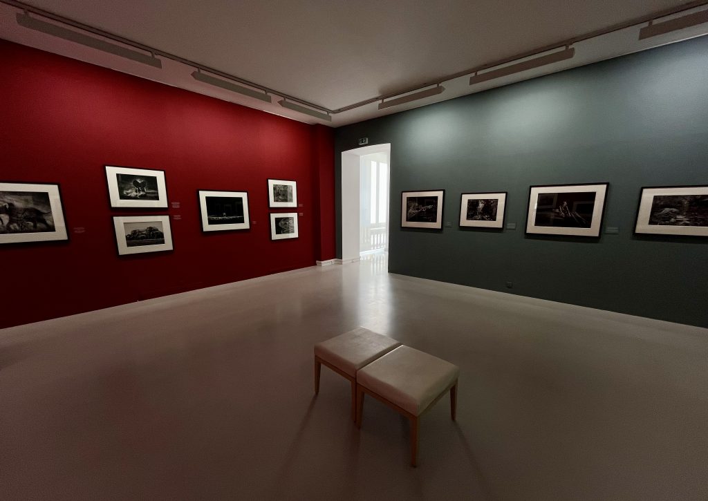 Exposition Sebastião Salgado à la Villa Tamaris