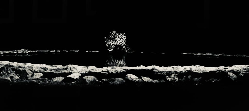 Exposition Sebastião Salgado à la Villa Tamaris