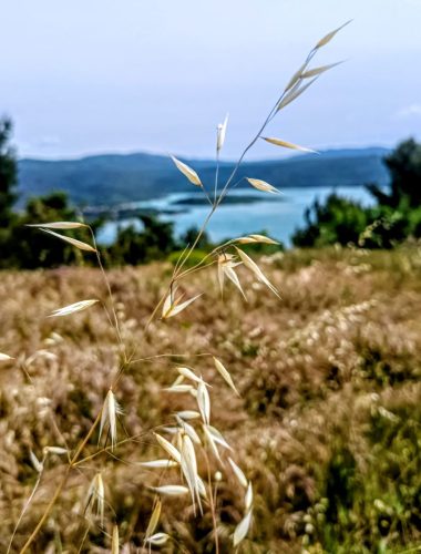 GRP Lac de Ste Croix