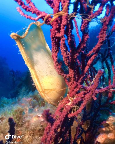 Plongée sous-marine