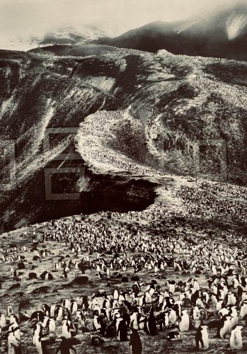 Exposition Sebastião Salgado à la Villa Tamaris