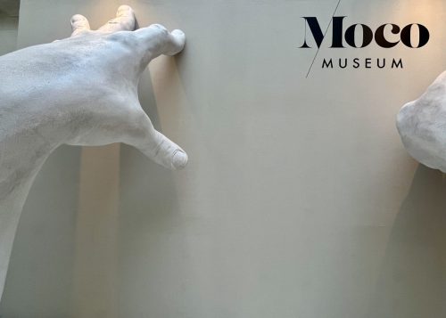 Barcelone MOCO Muséum