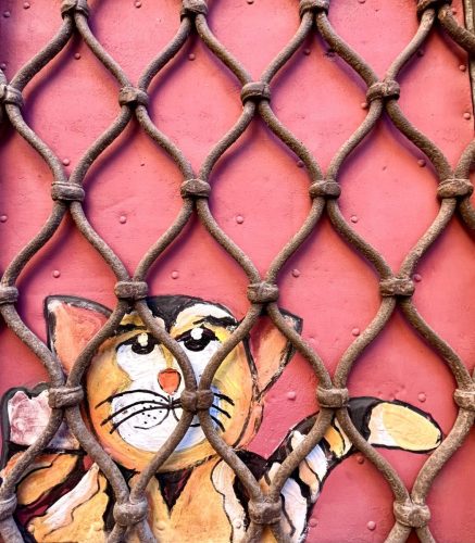 CATANE Street-Art