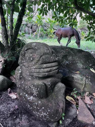 NUKU HIVA 7